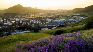 Cal Poly Landscape