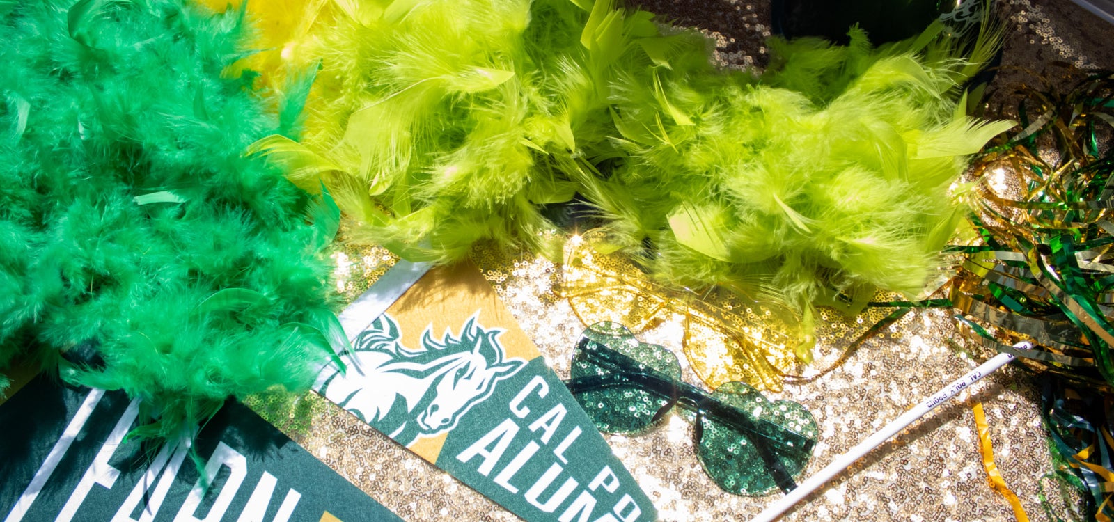 2025 Alumni Wine & Beer Garden