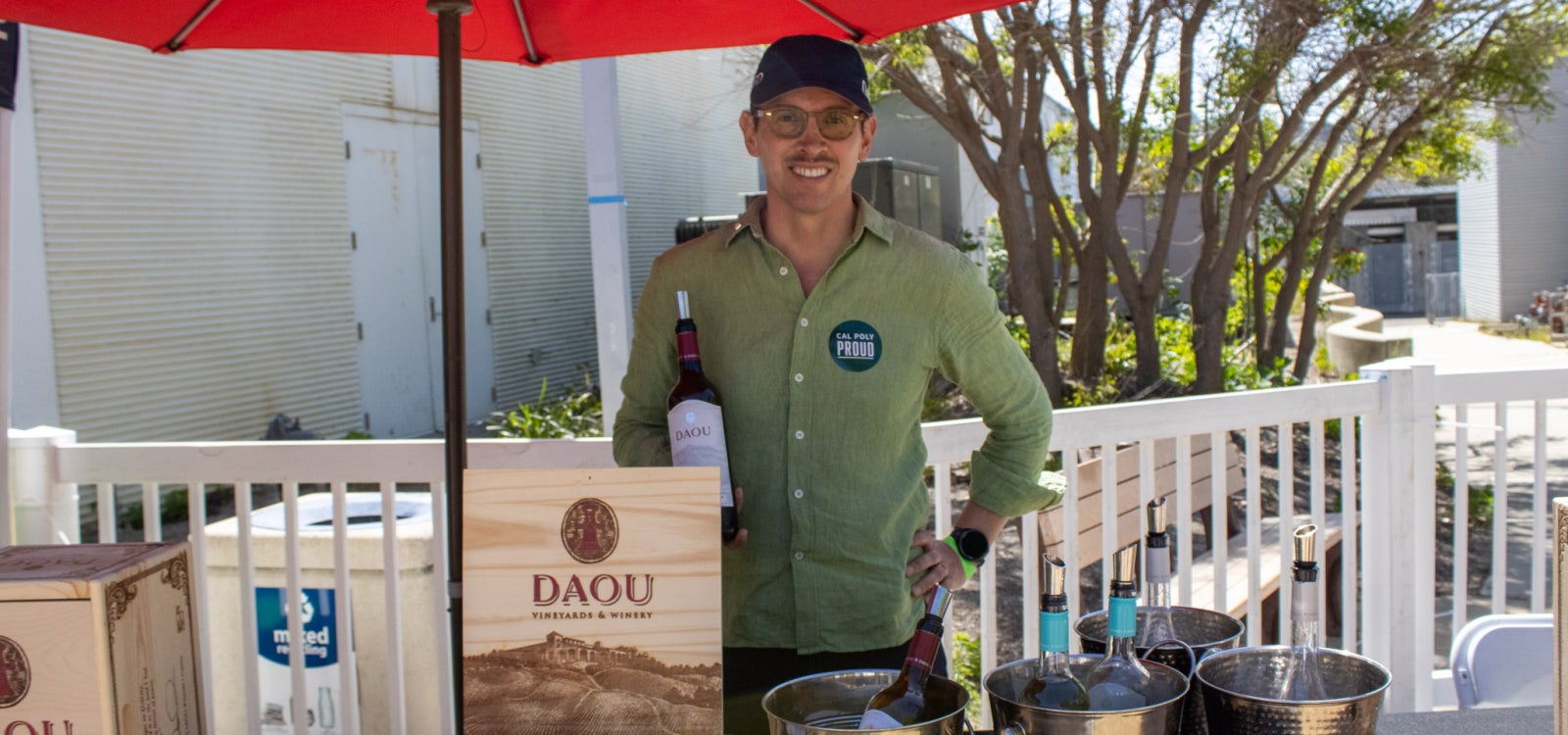 DAOU Vineyards