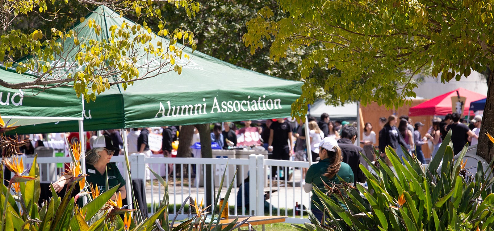 Alumni tabling booth.