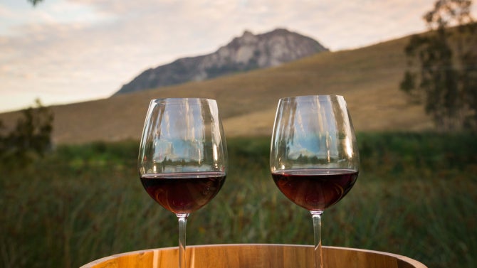 Wine classes filled with wine