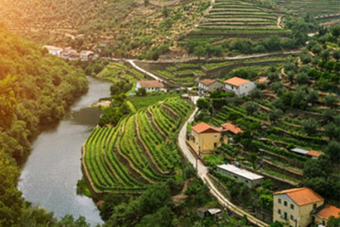 Overhead shot of the Douro River during sunset.